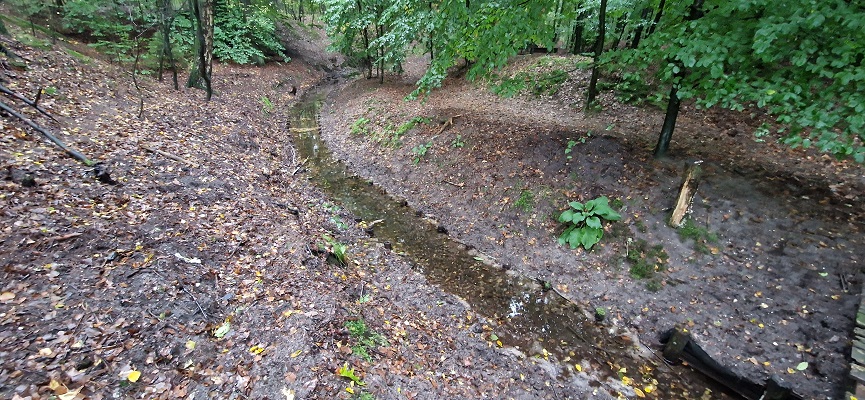 Wandeling over Trage Tocht Coldenhove Eerbeek bij de spreng Loenense Beek