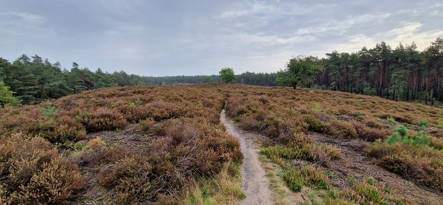 Wandeling over Trage Tocht Coldenhove Eerbeek op landgoed Groenouwe