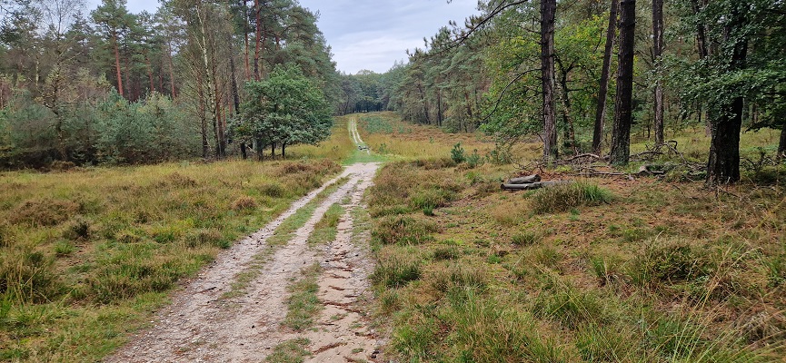Wandeling over Trage Tocht Coldenhove Eerbeek op landgoed Groenouwe