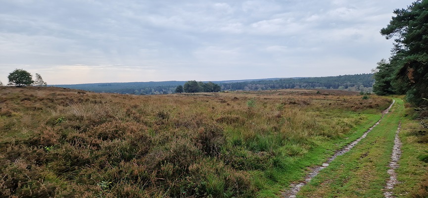 Wandeling over Trage Tocht Coldenhove Eerbeek op de Zilvense Heide