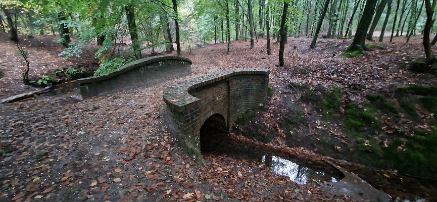 Wandeling over Trage Tocht Coldenhove Eerbeek bij de spreng Loenense Beek