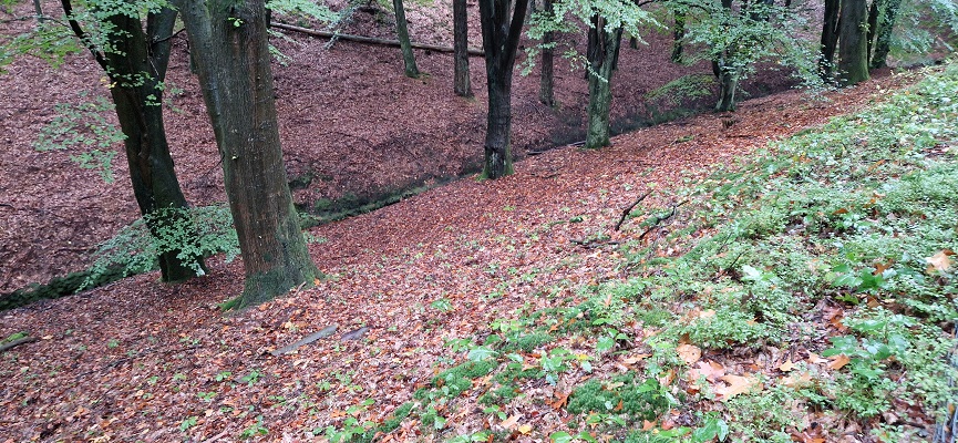 Wandeling over Trage Tocht Coldenhove Eerbeek bij de spreng Loenense Beek