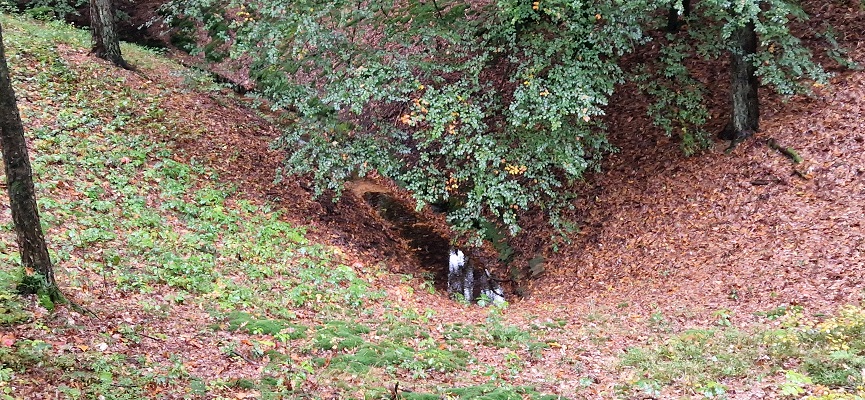 Wandeling over Trage Tocht Coldenhove Eerbeek bij de spreng Loenense Beek
