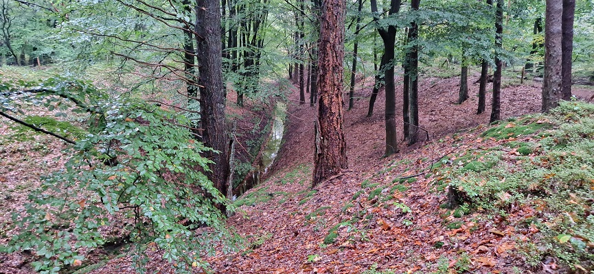 Wandeling over Trage Tocht Coldenhove Eerbeek bij de spreng Loenense Beek