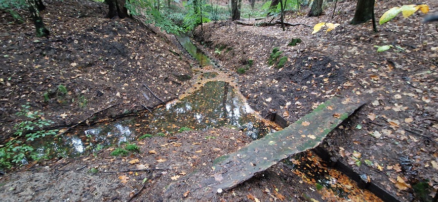 Wandeling over Trage Tocht Coldenhove Eerbeek bij de spreng Loenense Beek