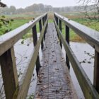 Wandeling over het Roots Natuurpad van Rolde naar Zuidlaren bij de Drentsche Aa