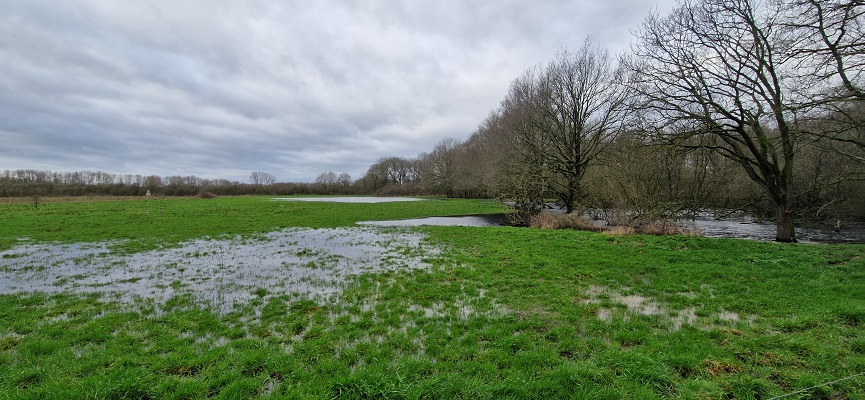 Wandeling over Trage Tocht Grave bij de Broekwielen