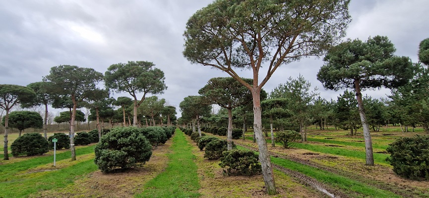 Wandeling over Trage Tocht Grave