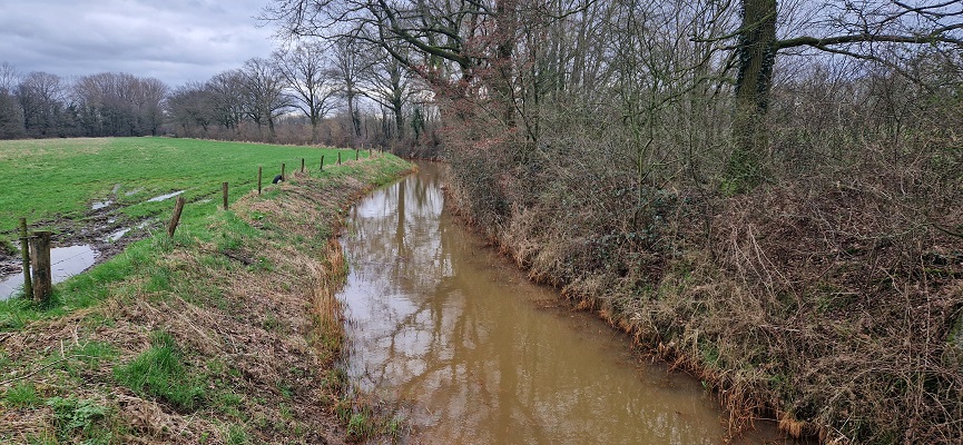 Wandeling over Trage Tocht Grave op landgoed Tongelaar