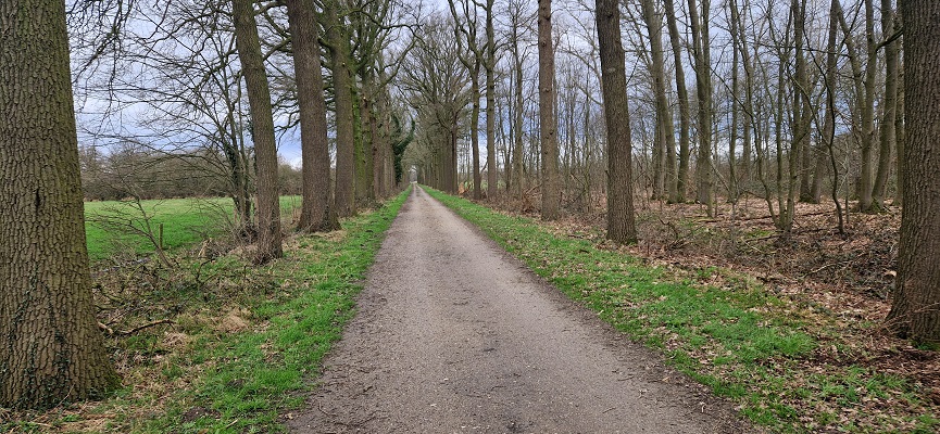 Wandeling over Trage Tocht Grave op landgoed Tongelaar
