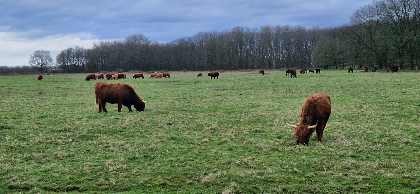 Wandeling over Trage Tocht Grave op landgoed Tongelaar