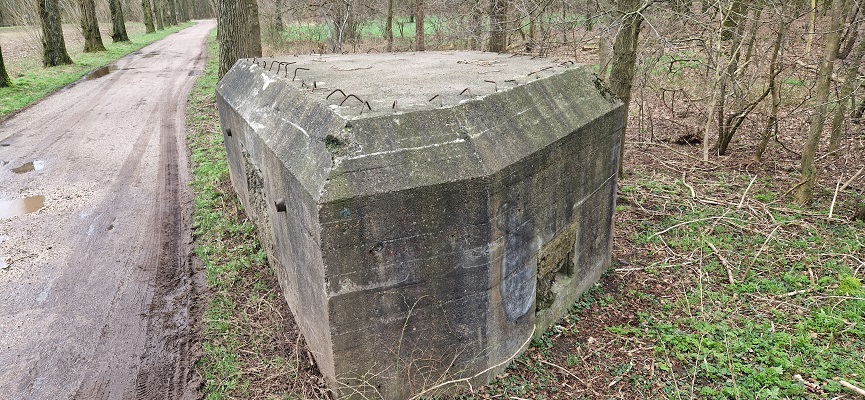 Wandeling over Trage Tocht Grave bij een bunker van de Peel-Raamstelling