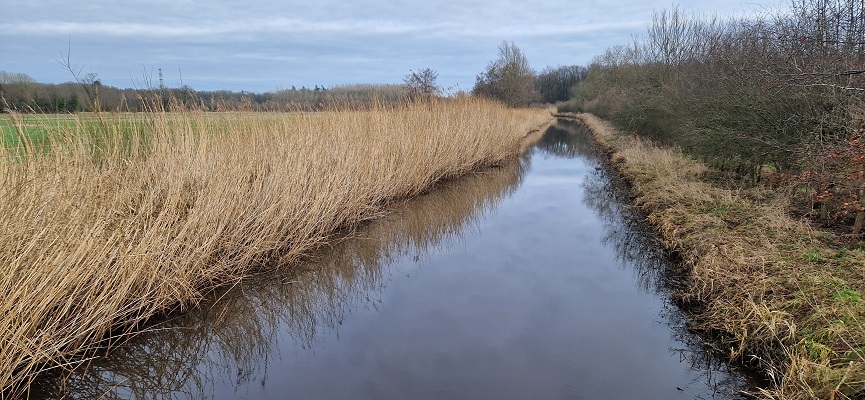 Wandeling over Trage Tocht Klarenbeek bij de Voorsterbeek
