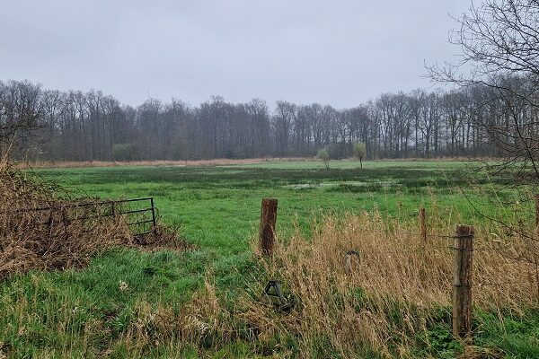 Groene Wissel Steenbergen bij het Oudland