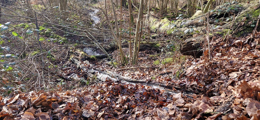Wandeling over Knopenrondje Plasmolen op de Sint Jansberg