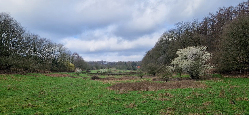 Wandeling over Knopenrondje Plasmolen op de Sint Jansberg