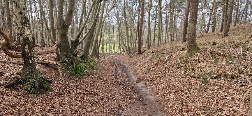 Wandeling over Knopenrondje Plasmolen op de Sint Jansberg