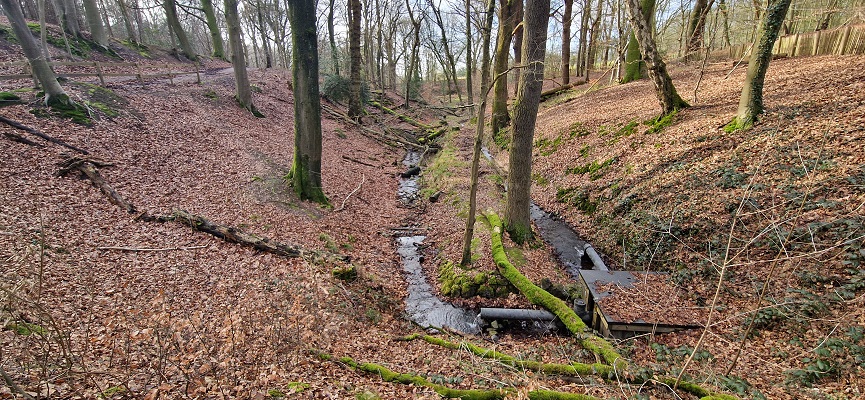 Wandeling over Knopenrondje Plasmolen op de Sint Jansberg