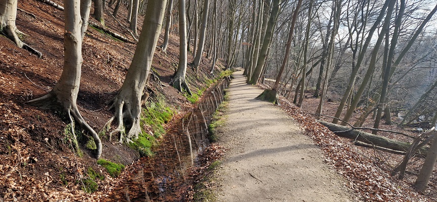 Wandeling over Knopenrondje Plasmolen op de Sint Jansberg