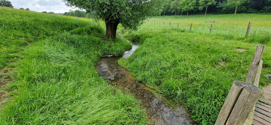 Wandeling over DMT van de Teuvenderberg naar Mheer bij de Noor