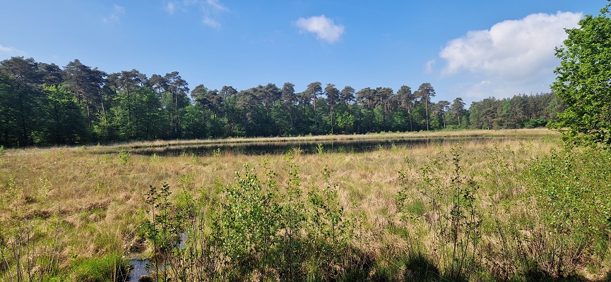 Wandeling over Trage Tocht Ommen Besthmen bij het Zeesserven