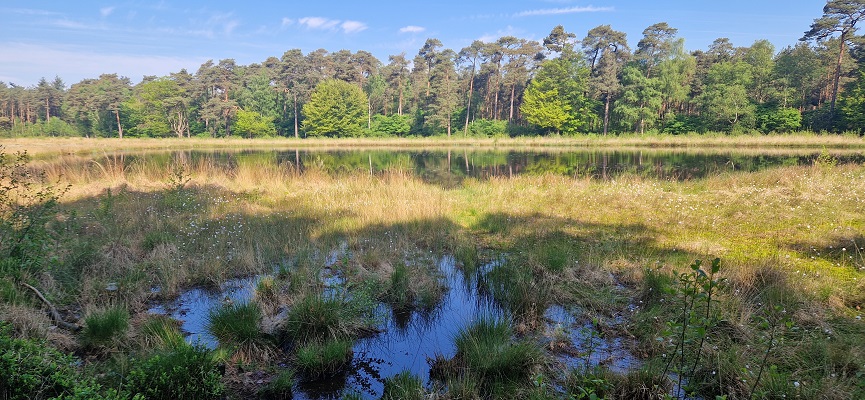 Wandeling over Trage Tocht Ommen Besthmen bij het Zeesserven