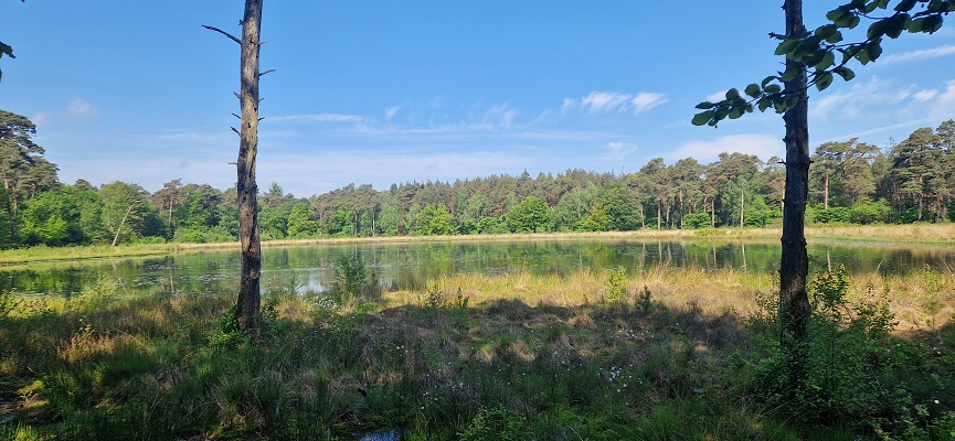 Wandeling over Trage Tocht Ommen Besthmen bij het Besthemerven
