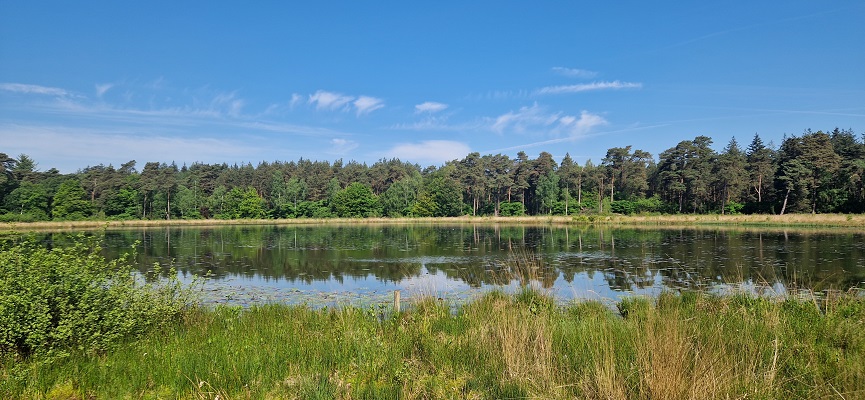 Wandeling over Trage Tocht Ommen Besthmen bij het Besthemerven