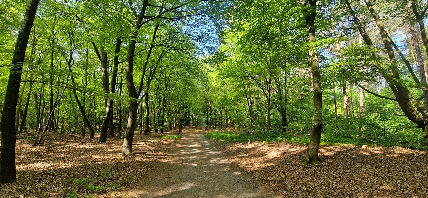 Wandeling over Trage Tocht Ommen Besthmen op landgoed Eerde