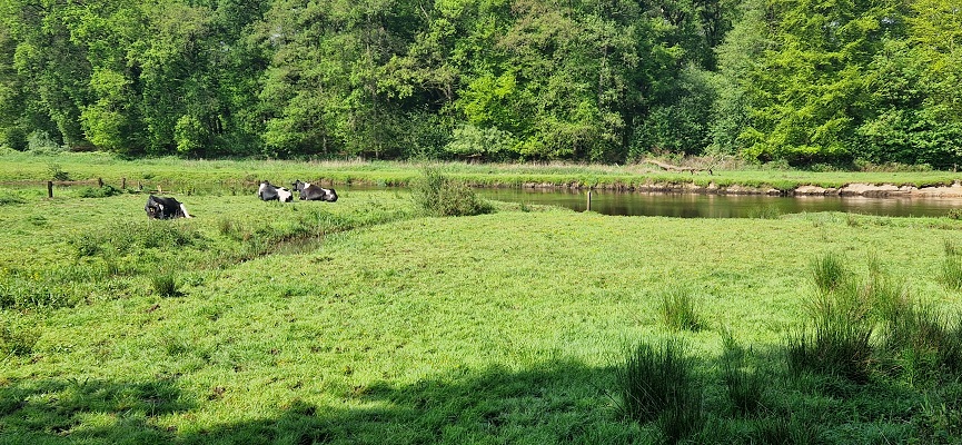 Wandeling over Trage Tocht Ommen Besthmen bij de Beneden-Regge