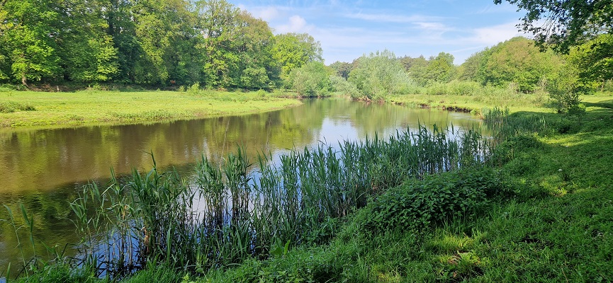 Wandeling over Trage Tocht Ommen Besthmen bij de Beneden-Regge