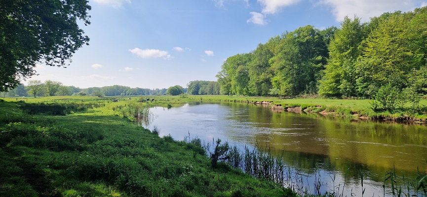 Wandeling over Trage Tocht Ommen Besthmen bij de Beneden-Regge