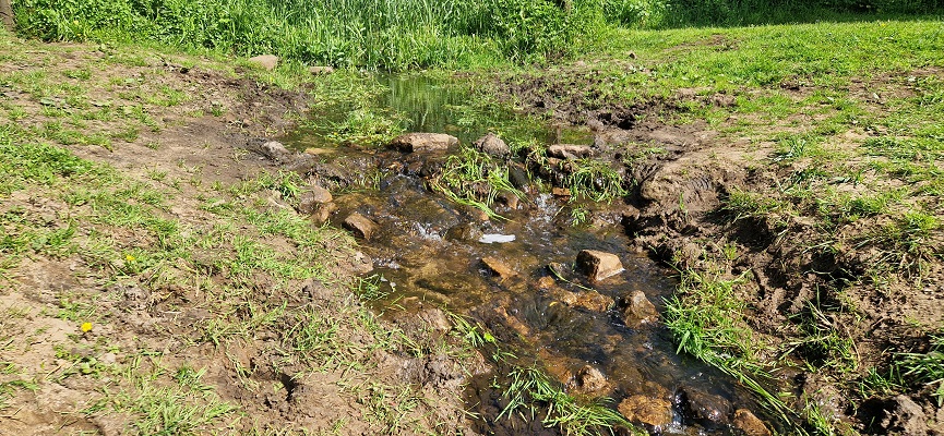 Wandeling over Trage Tocht Ommen Besthmen bij de Beneden-Regge
