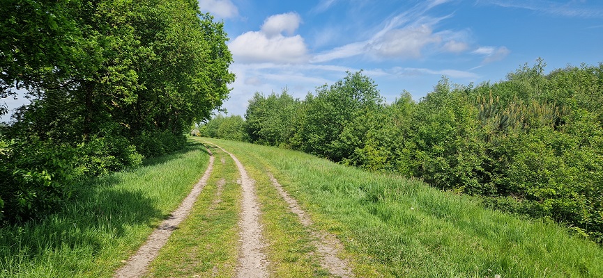 Wandeling over Trage Tocht Ommen Besthmen bij de Beneden-Regge
