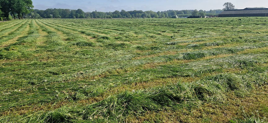 Wandeling over Trage Tocht Ommen Besthmen