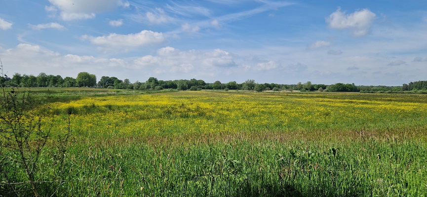 Wandeling over Trage Tocht Ommen Besthmen in het beekdal van de Beneden-Regge