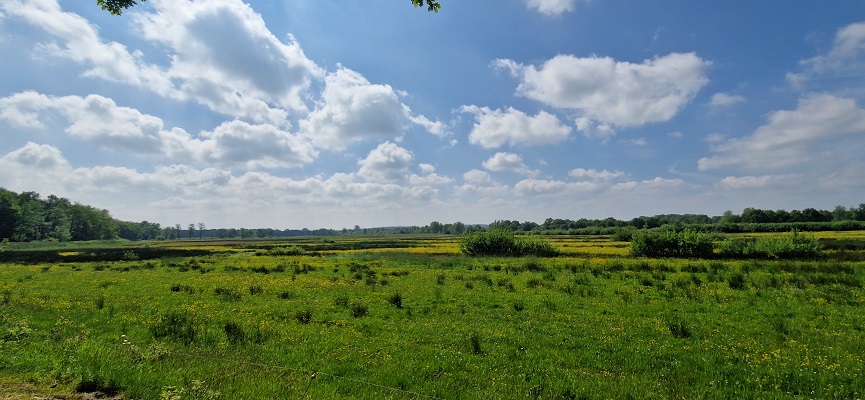 Wandeling over Trage Tocht Ommen Besthmen in het beekdal van de Beneden-Regge