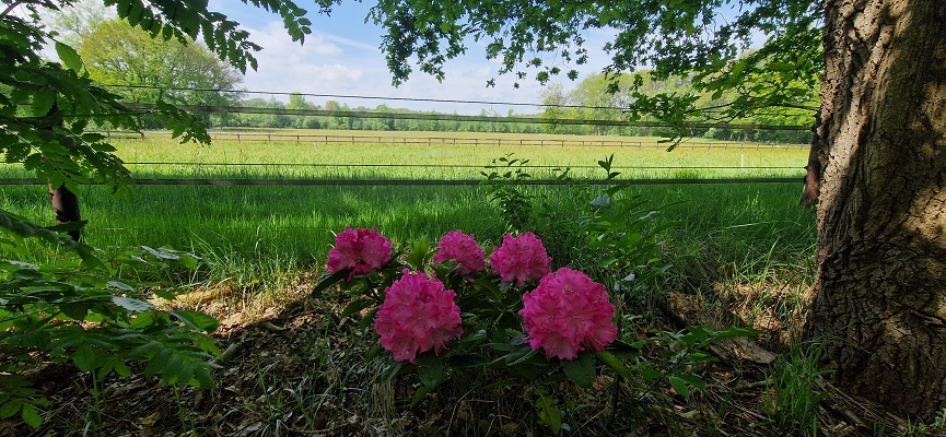 Wandeling over Trage Tocht Ommen Besthmen in het beekdal van de Beneden-Regge