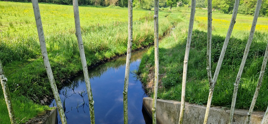 Wandeling over Trage Tocht Ommen Besthmen op landgoed Het Laer