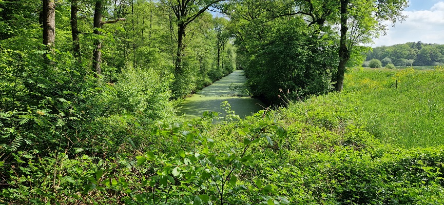 Wandeling over Trage Tocht Ommen Besthmen op landgoed Het Laer