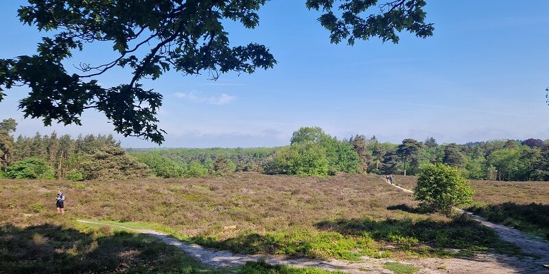 Wandeling over Trage Tocht Ommen Besthmen bij de Besthemerberg