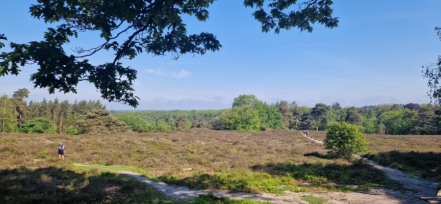 Wandeling over Trage Tocht Ommen Besthmen bij de Besthemerberg