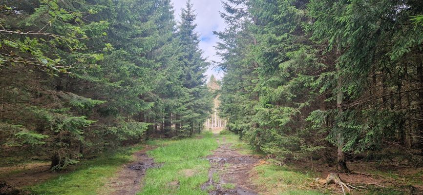 Wandeling over Rennsteig van Limbach naar Massserberg
