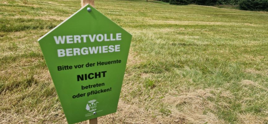 Wandeling over Rennsteig van Limbach naar Massserberg