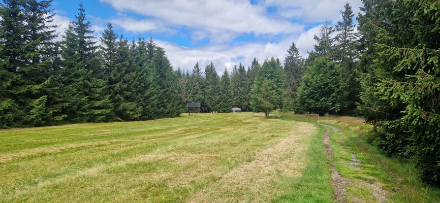 Wandeling over Rennsteig van Limbach naar Massserberg