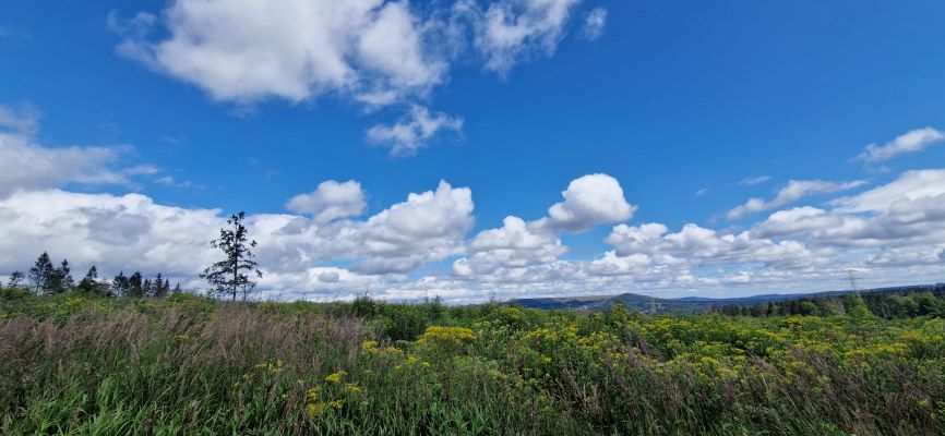 Wandeling over Rennsteig van Limbach naar Massserberg