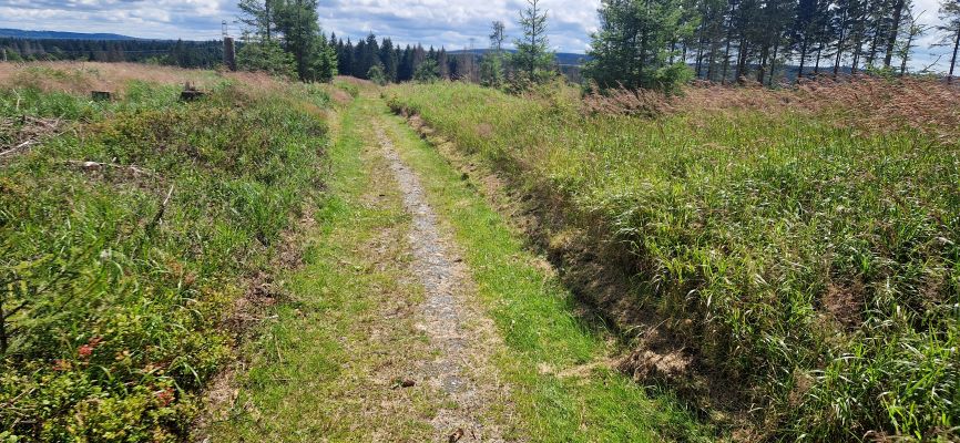 Wandeling over Rennsteig van Limbach naar Massserberg