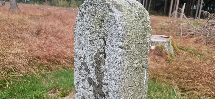 Wandeling over Rennsteig van Limbach naar Massserberg