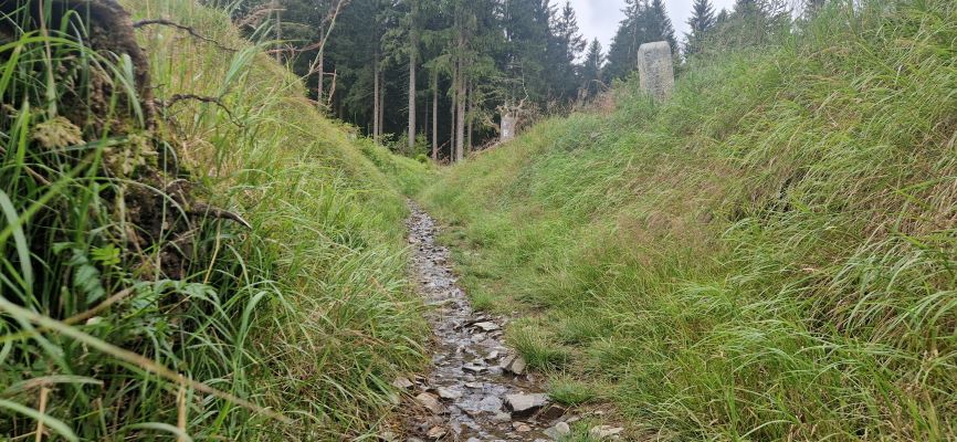 Wandeling over Rennsteig van Limbach naar Massserberg