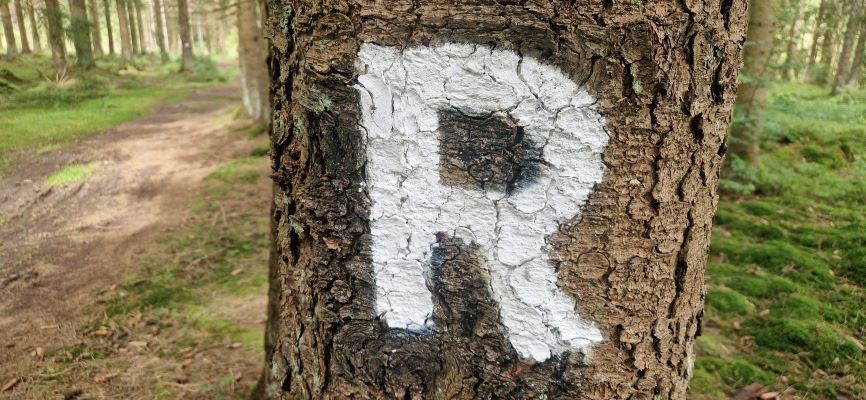 Wandeling over Rennsteig van Limbach naar Massserberg